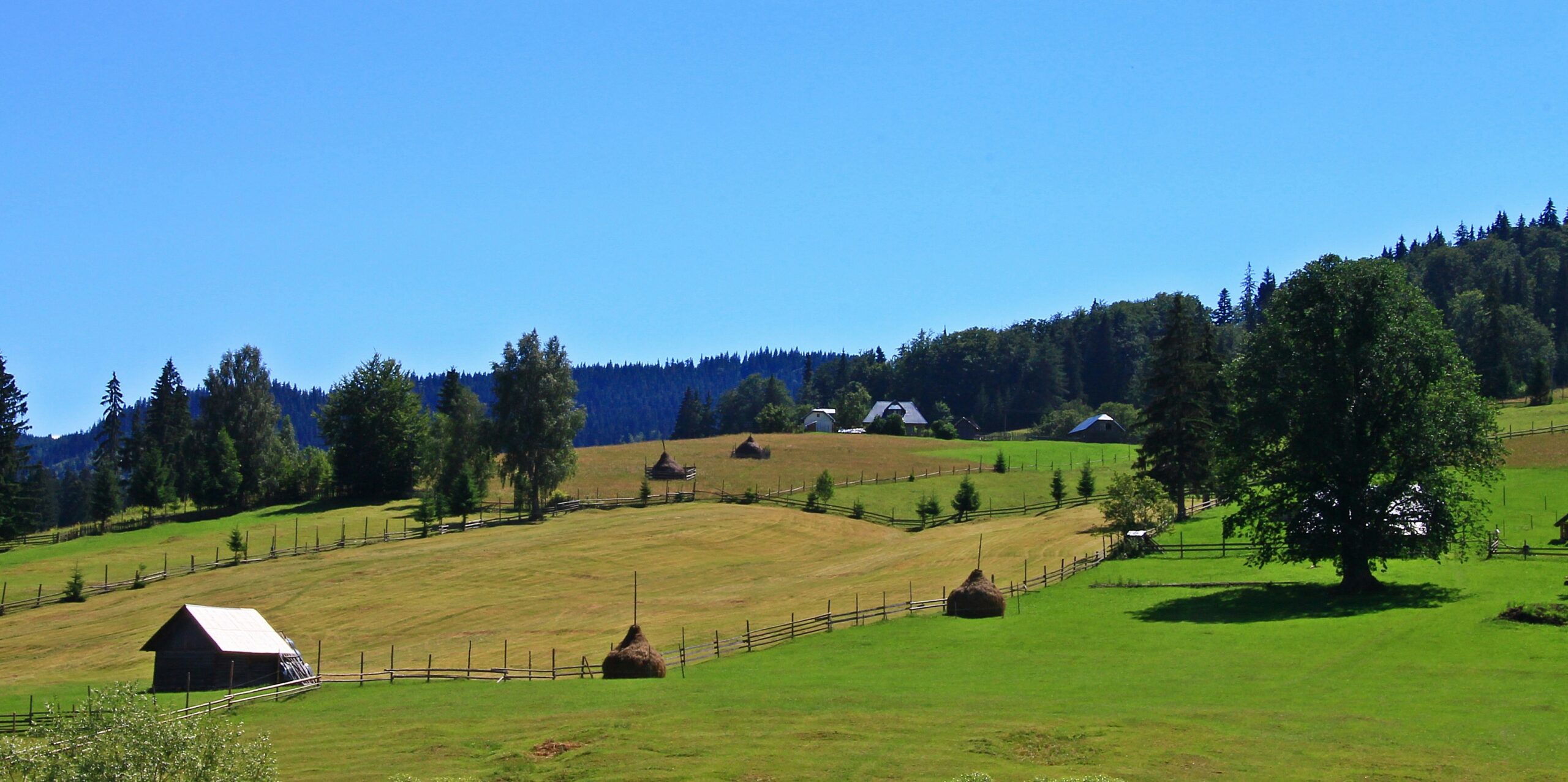 a green field with hay bales in the middle of it